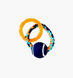 The Kitten House with Mat Sleeping Bed House